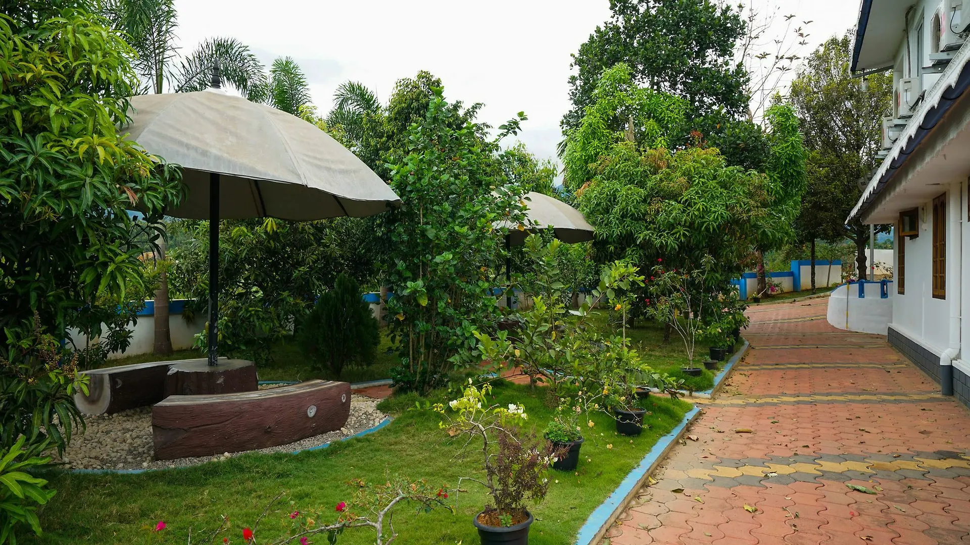 Resort Summer Breeze Munnar